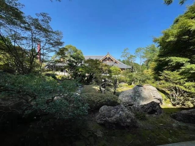 hth华体育官网-日本阿含･桐山杯许家元首度加冕，井山事不过“五”